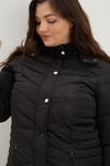 Dorothy Perkins Curve Black Quilted Short Padded Jacket thumbnail 4