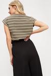 Dorothy Perkins Khaki Stripe Roll Sleeve T-shirt thumbnail 3