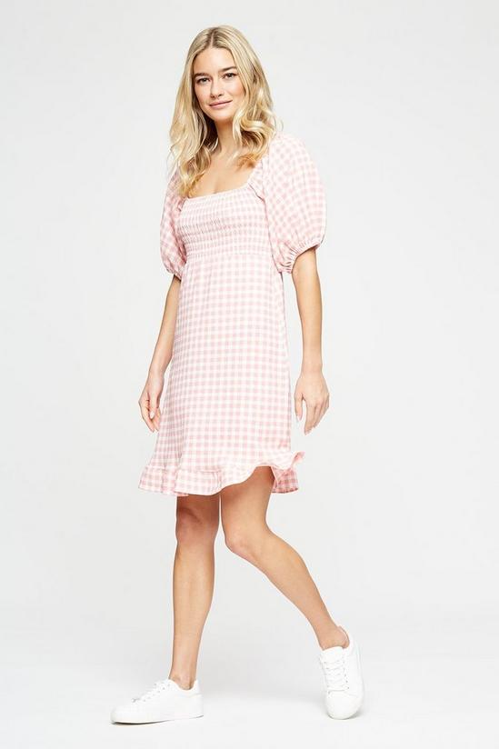 Dorothy Perkins Pink Gingham Textured Shirred Mini Dress 2