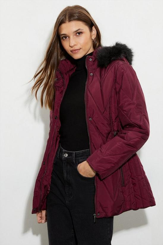 Dorothy Perkins Short Belted Quilted Padded Coat 1