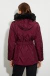 Dorothy Perkins Short Belted Quilted Padded Coat thumbnail 3