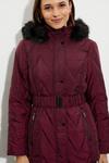 Dorothy Perkins Short Belted Quilted Padded Coat thumbnail 6