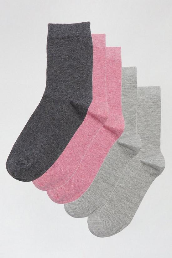 Dorothy Perkins 5 Pack Multi Colour Ankle Socks 1