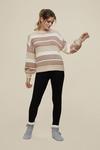 Dorothy Perkins Stone and White Striped Jumper thumbnail 2