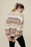 Dorothy Perkins Stone and White Striped Jumper thumbnail 3