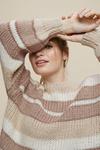 Dorothy Perkins Stone and White Striped Jumper thumbnail 4