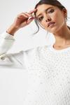 Dorothy Perkins Ivory All Over Pearl Jumper thumbnail 4