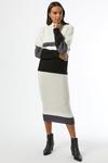 Dorothy Perkins Grey Colour Block Knitted Skirt thumbnail 4