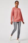 Dorothy Perkins Petite Pink Knitted Jumper thumbnail 1