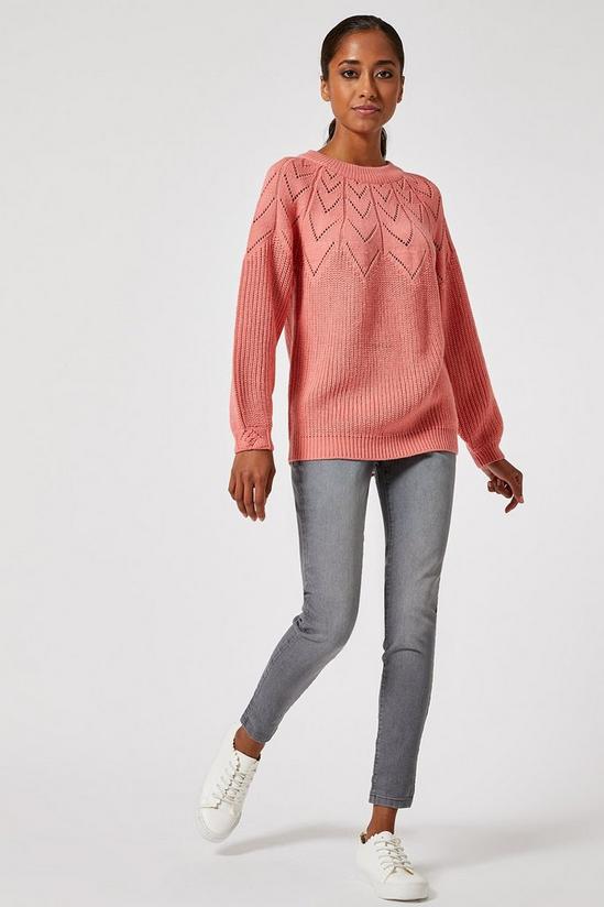 Dorothy Perkins Petite Pink Knitted Jumper 1