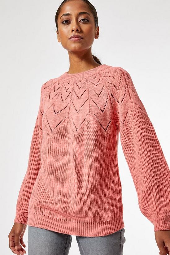 Dorothy Perkins Petite Pink Knitted Jumper 2