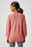 Dorothy Perkins Petite Pink Knitted Jumper thumbnail 4