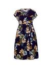 Dorothy Perkins Curve Navy Floral Print Dress thumbnail 4