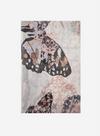 Dorothy Perkins White Butterfly Print Lightweight Scarf thumbnail 1