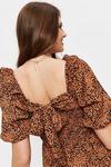 Dorothy Perkins Tall Tan Leopard Spot Shirred Tie Back Midi Dress thumbnail 4