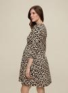 Dorothy Perkins Maternity Leopard Wrap Dress thumbnail 4