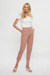 Dorothy Perkins Dusky Pink Ankle Grazer Trousers thumbnail 2