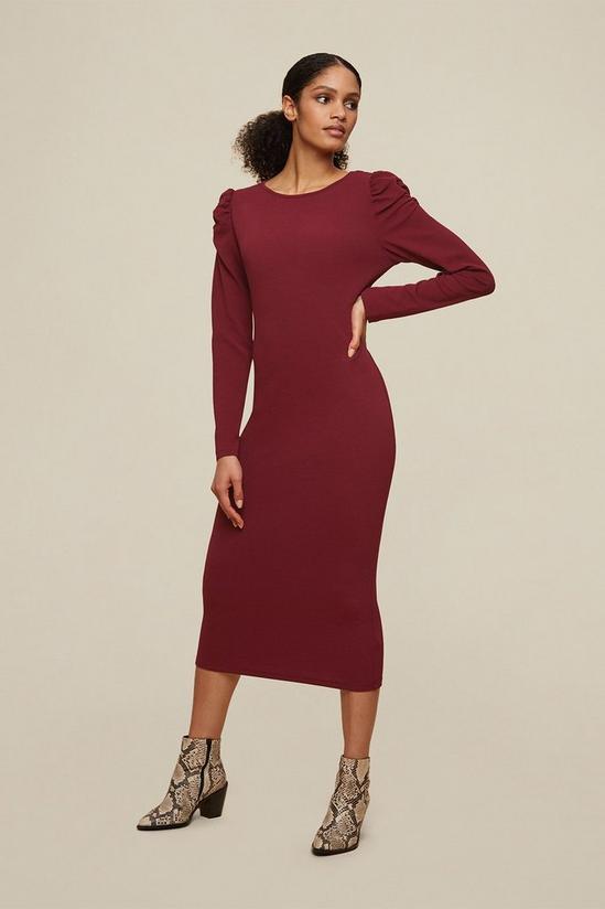 Dorothy Perkins Tall Berry Ruched Sleeve Bodycon Dress 1