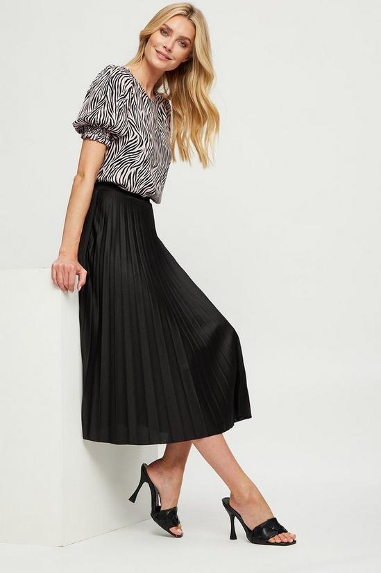 Dorothy Perkins Jersey Pleated Skirt 1