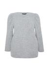 Dorothy Perkins Curve Grey Brushed Puff Sleeve T-Shirt thumbnail 4