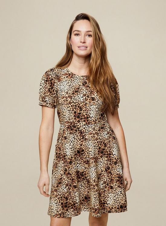 Dorothy Perkins Animal Print Short Sleeve Cotton Elastane Fit And Flare Dress With Side Pockets. 1