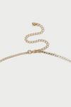 Dorothy Perkins Gold Fine Chain Necklace thumbnail 3