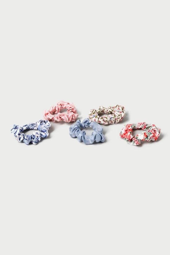 Dorothy Perkins Mixed Floral Pack Of 5 Scrunchies 3