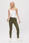 Dorothy Perkins Peached Skinny Frankie Jeans thumbnail 2