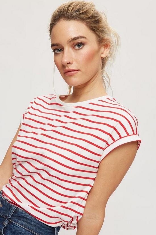 Dorothy Perkins Red Stripe Roll Sleeve T-Shirt 4