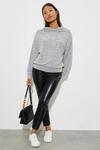 Dorothy Perkins Petite Soft Touch Hoodie thumbnail 2