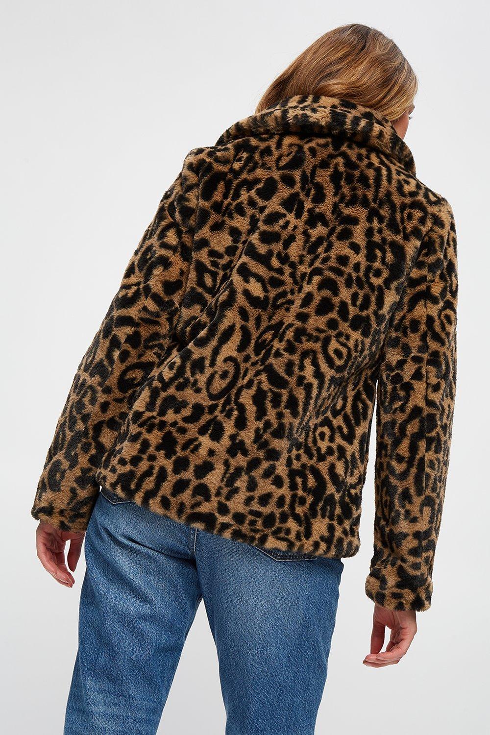 Leopard print 2025 coat dorothy perkins