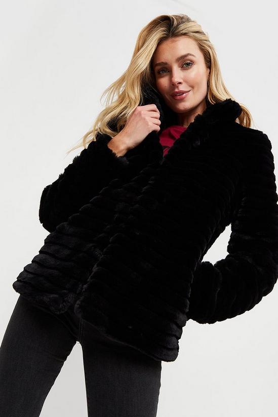 Dorothy Perkins Tall Black Short Stripe Faux Fur Coat 2