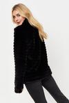 Dorothy Perkins Tall Black Short Stripe Faux Fur Coat thumbnail 3