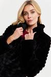 Dorothy Perkins Tall Black Short Stripe Faux Fur Coat thumbnail 4