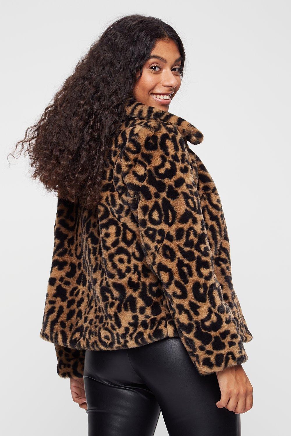 Leopard print 2025 coat dorothy perkins