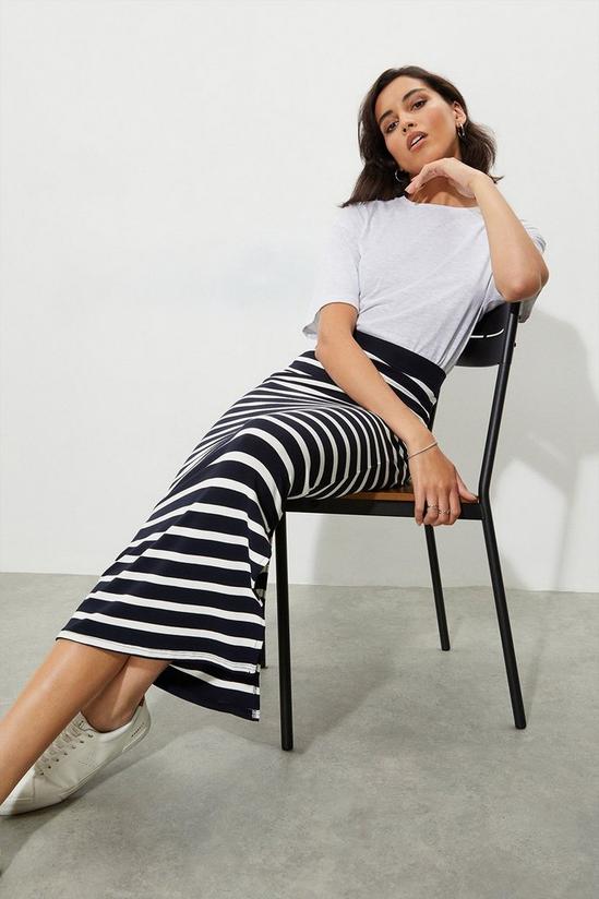 Dorothy Perkins Tall Navy Stripe Maxi Skirt 1