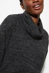 Dorothy Perkins Soft Touch Roll Neck Tunic thumbnail 4
