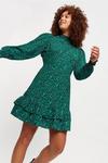 Dorothy Perkins Green High Neck Ruffle Mini Dress thumbnail 1
