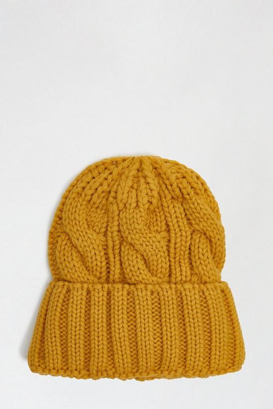 Dorothy Perkins Chunky Cable Knit Beanie 2