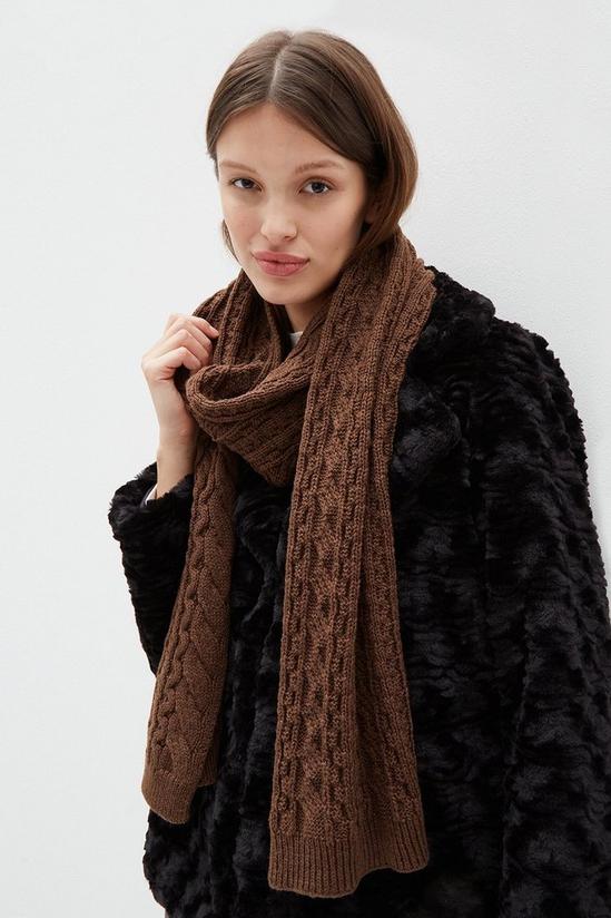 Dorothy Perkins Cable Knit Scarf 2