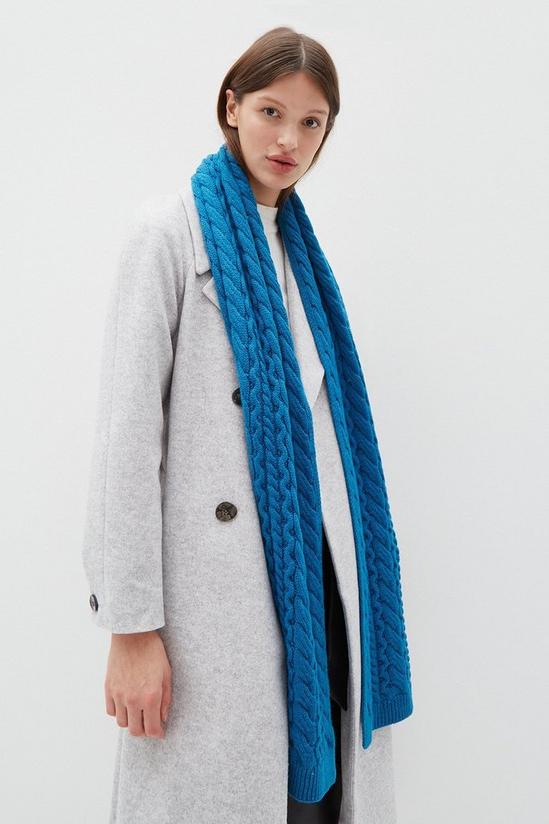 Dorothy Perkins Cable Knit Scarf 2
