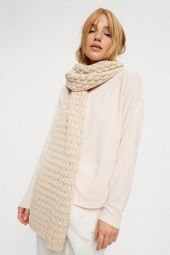 Dorothy Perkins Popcorn Knitted Scarf 2