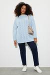 Dorothy Perkins Curve Cable Knit High Neck Jumper thumbnail 2