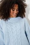 Dorothy Perkins Curve Cable Knit High Neck Jumper thumbnail 4