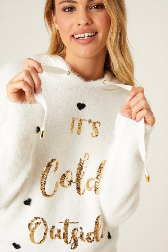 Dorothy Perkins Its Cold Outside Christmas Jumper 1