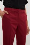 Dorothy Perkins Tall Berry Ankle Grazer Trousers thumbnail 4