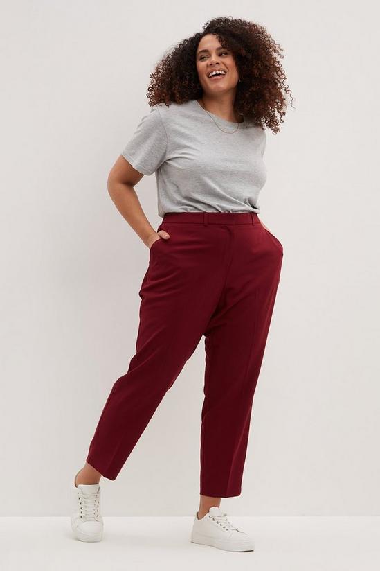 Dorothy Perkins Curve Berry Ankle Grazer Trousers 1