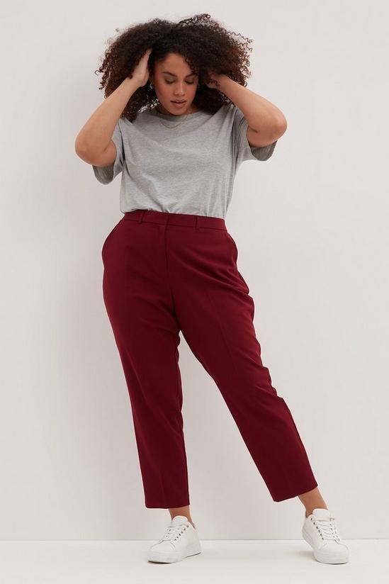 Dorothy Perkins Curve Berry Ankle Grazer Trousers 2