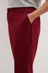 Dorothy Perkins Curve Berry Ankle Grazer Trousers thumbnail 4