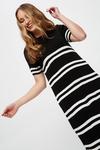 Dorothy Perkins Knitted Short Sleeve Striped Dress thumbnail 1